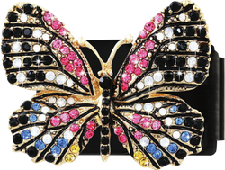 Beautiful Butterfly Clip